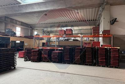 DE VANZARE Hala productie/depozitare - 12