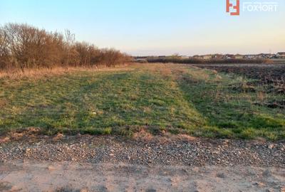 Teren Construcții extravilan de 7826 mp, în Ghiroda - 2