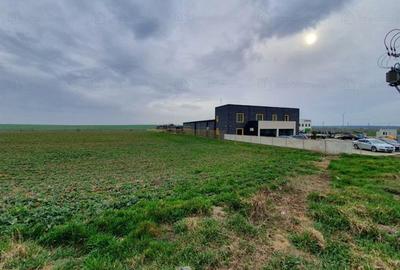 Teren Construcții intravilan de 10000 mp, în Vest - 3