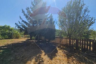 Casa de vanzare - 19