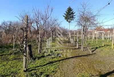 Casă cu 5 camere cu Teren 2158 Mp în Freidorf - 18