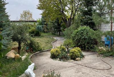 Casa deosebita P+E+M  Central-Biserica - 13