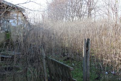 Casă cu 3 camere în Jilavele - 6