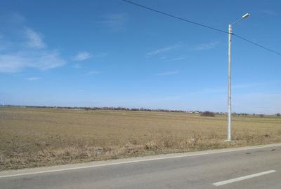 Teren de 5259 mp, în Dărăști-Ilfov - 2
