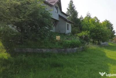 Teren de 4863 mp, în Adâncata - 5
