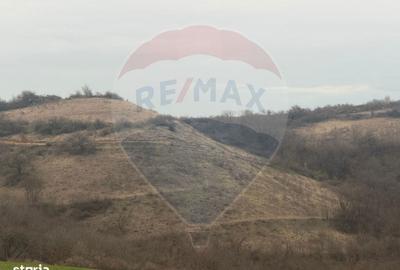 Teren de 18800 mp, în Vințu de Jos - 2