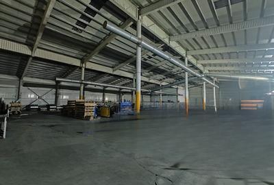 OPORTUNITATE!! - Hala industriala 3000mp, teren 6000mp, zona DN13 - 7