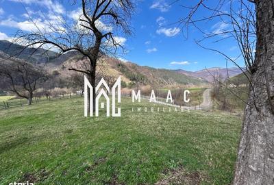 Teren de 800 mp, în Râu Sadului - 3