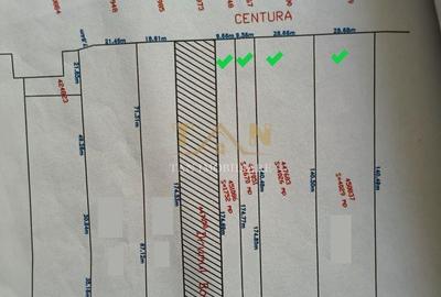 Spațiu comercial, în Moșnița Nouă - 3