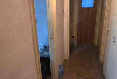 Baba Novac Campia Libertatii- vedere parc IOR - 2