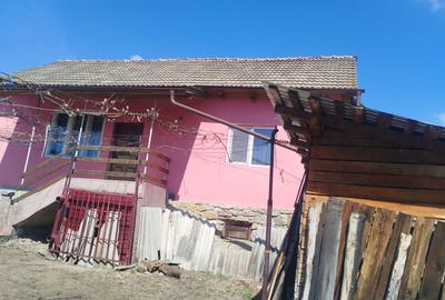 Casă cu 4 camere în Cernișoara