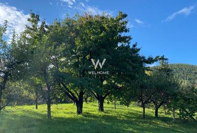 Teren agricol intravilan de 2100 mp, în Exterior Sud - 3