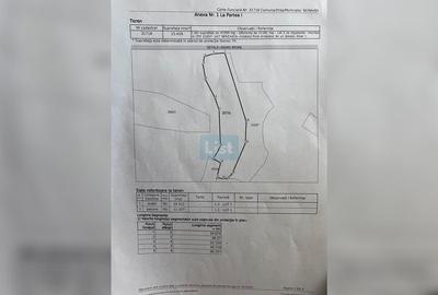 Teren extravilan de 47000 mp, în Sichevița - 2