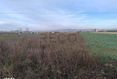Teren de 5500 mp, în Oșorhei - 2