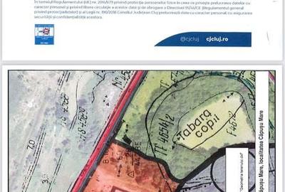 Spațiu comercial, în Căpușu Mare - 2