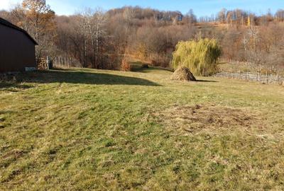 Spațiu comercial, în Central - 4