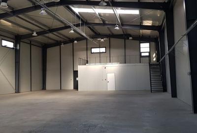 Spațiu comercial, de 779 mp, în Mogoșoaia - 10