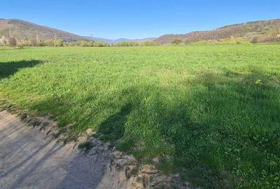 Spațiu comercial, în Central - 3