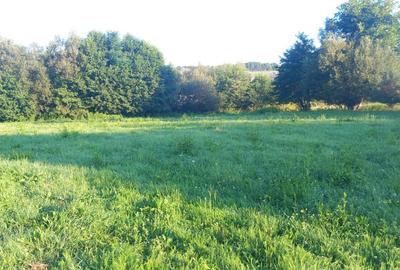 Teren intravilan  |  821 mp | de vanzare- Tocile-Sadu - 3