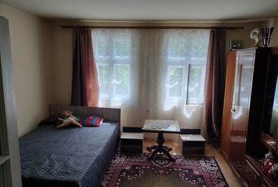 Casă cu 2 camere în Ciugud - 6