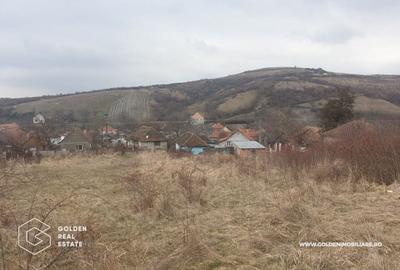 Teren Construcții intravilan de 3841 mp, în Covăsinț - 1