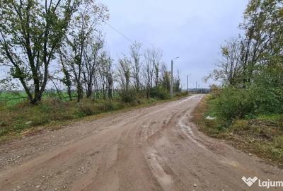 Teren de 3000 mp, în Brănești - 3