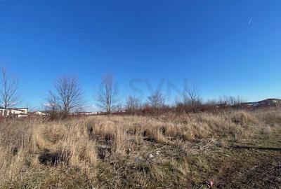 Teren agricol intravilan de 20000 mp, în Central - 3