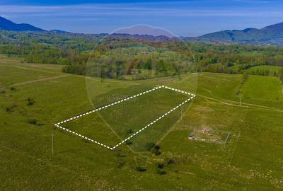Teren agricol extravilan de 10000 mp, în Glăjărie - 2