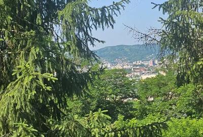 Casă cu 3 camere cu Teren 1800 Mp în Golești - 3