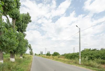 Teren de 30000 mp, în Cernica - 14