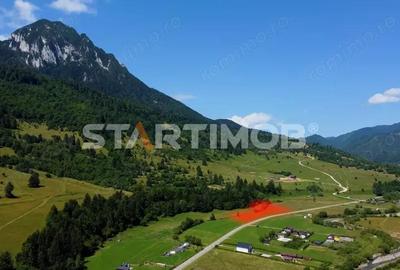 Teren intravilan Zarnesti Plaiul Foii - 2