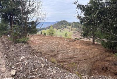 Teren de 1819 mp, în Horea - 9