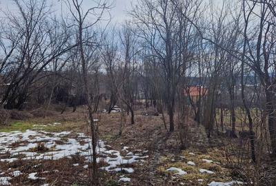 Teren de 2500 mp, în Hârsa - 1