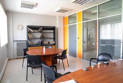 Birou de inchiriat in zona TimpurI Noi - 11