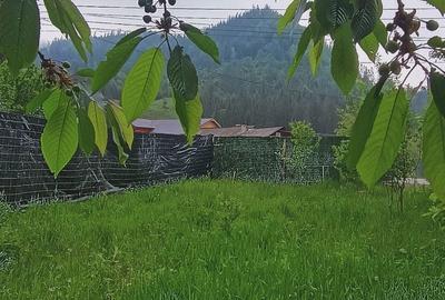 Spațiu comercial, în Central - 6