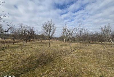 Teren de 3800 mp, în Mirșid - 2