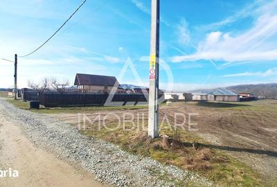 Teren de 3725 mp, în Bumbești-Pițic - 1