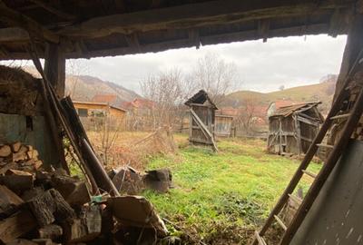 Casa de vanzare sat Buia, Sibiu PROPRIETAR - 13