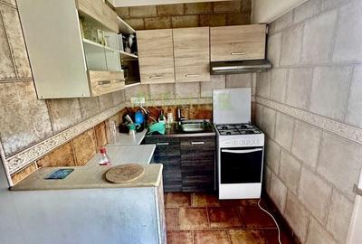 Apartament Corneliu Coposu Piata Uniriri Locatie excelenta - 4