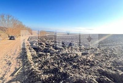 Teren I Suceava I Moara Nica I 2500 Mp I 54.900 Euro - 5