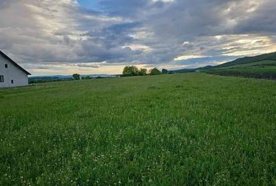 Teren de 2900 mp, în Uriu - 1