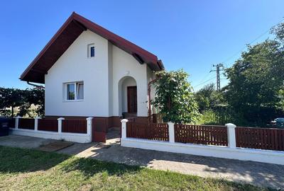 Casa mica finisata + casa mare semifinisata in Mire?u Mare - 2