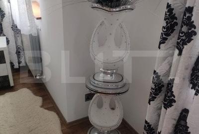 Casa cu 8 camere ,mobilata si utilata zona Marginea, Radauti - 14