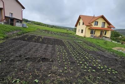 Teren de 500mp, extravilan Valea fanatelor - 4
