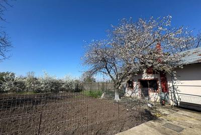 Casă cu 4 camere în Frătești - 2