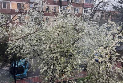 Apartament cu 2 camere decomandat, mobilat în Muncii - 15