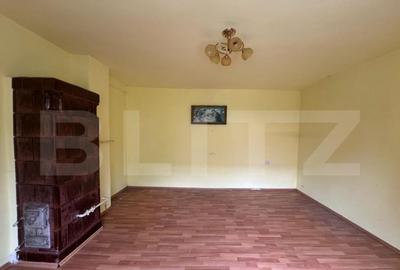 Casă cu 5 camere cu Teren 3000 Mp în Horea - 8