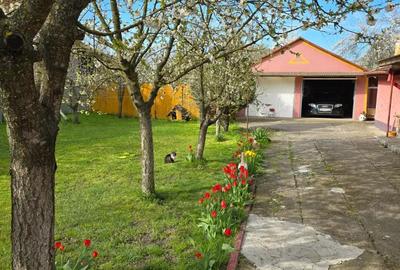 Casa individuala 4 camere si garaj in Pischia amenajata mobilata utilata pozitie excelenta - 17