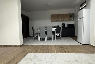 Ansamblu Rezidential / Vile Individuale Cuplate/ Demisol Locuibil - 4