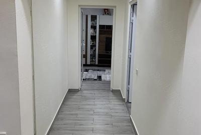 Apartament cu 2 camere decomandat în Dristor - 17